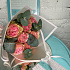 Букет из 7 пионовидных роз №160 - Фото 1