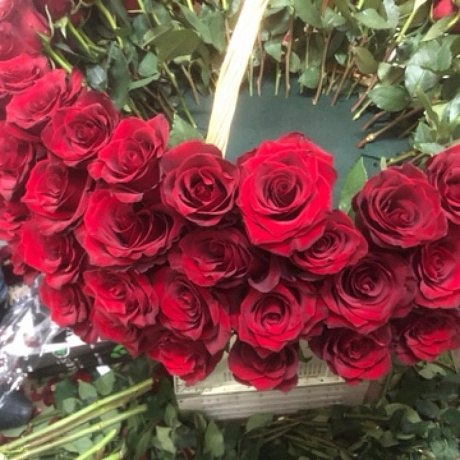 Бордовые розы Эквадор - Фото 4