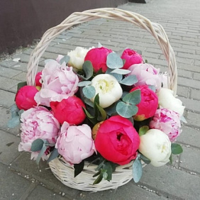 Пионы в корзине №162