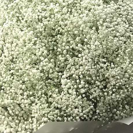 Букет Гифсофила №260 - Фото 3