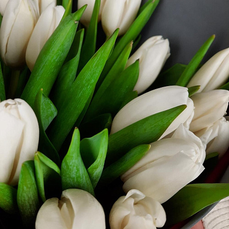Букет Белые тюльпаны - Фото 5