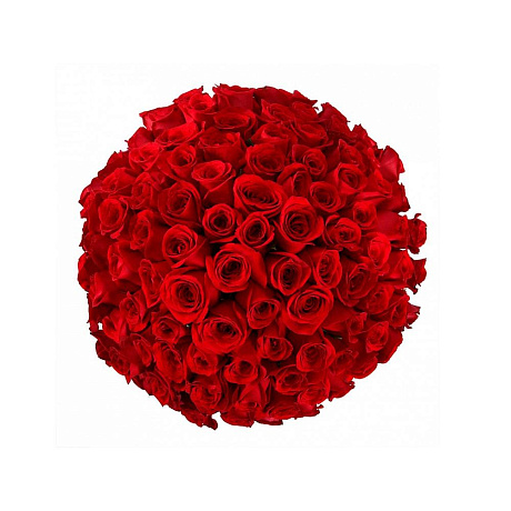 101 красная роза Фридом - Эквадор (50 см) - Фото 2