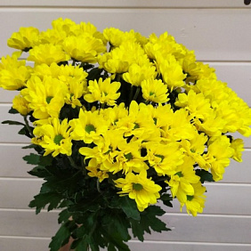 Букет цветов "Солнечный день" №165