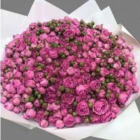 Букет из кустовых пионовидных роз №162