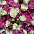 51 кустовая роза баблз - Фото 5
