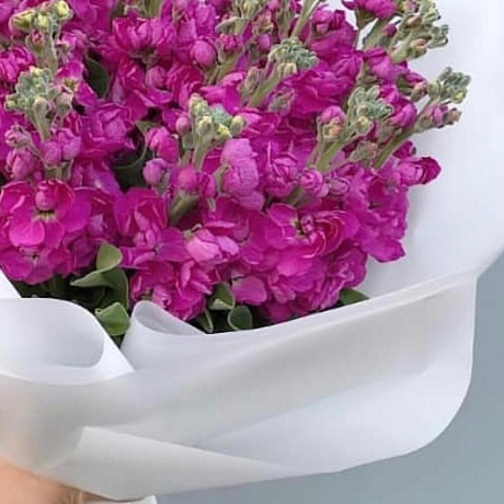 Букет цветов Мотиоло пинк - Фото 2