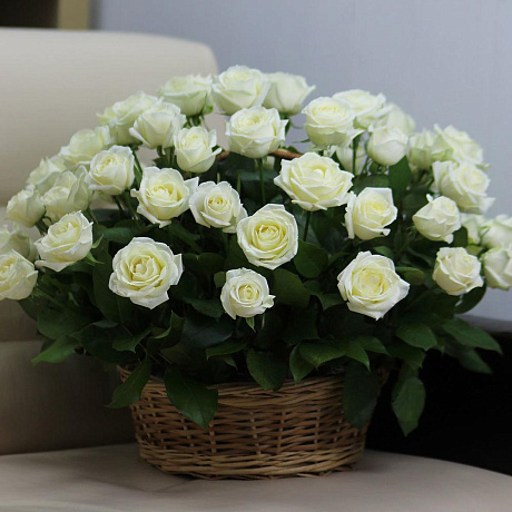 51 белая роза в корзине (Голландия) - Фото 2