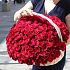 151  красная роза премиум в корзине (VIP) - Фото 1