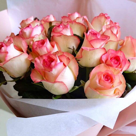 15 прекрасный роз Джумилия - Фото 2