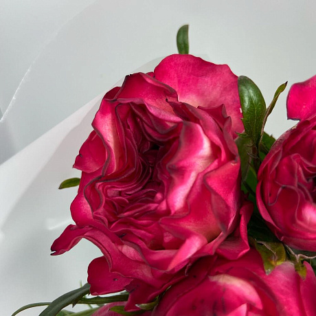 Монобукет из пионовидной розы - Фото 2