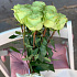 Монобукет 9 Зелёных роз 60см - Фото 2