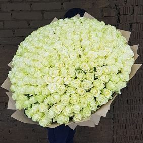 Букет из 301 белой розы 60 см