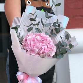 Букет Розовая Гортензия №169