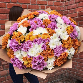 51 хризантема №160