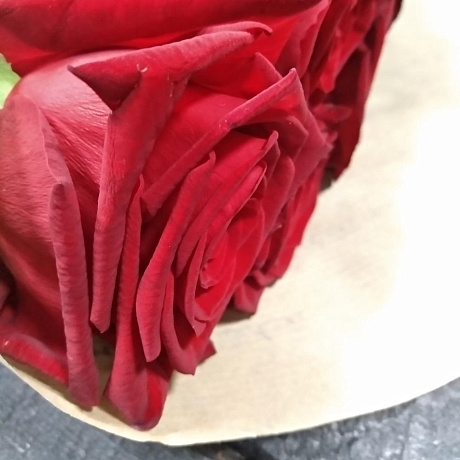 Моно букет из 9 роз - Фото 6