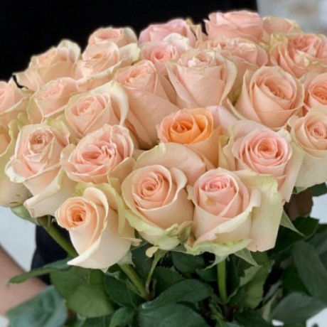 Розы 80см - Фото 2