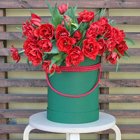 Красные тюльпаны в коробке - Фото 2