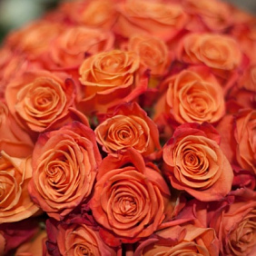 35 оранжевых роз в большой розовой коробке шкатулке с макарунсами №474