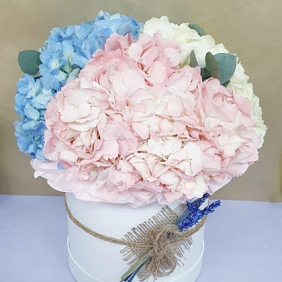 Букет «Love is...» XXXL mix из гортензий №2