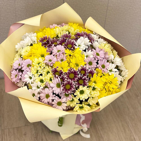 Букет из 25 кустовых хризантема - Фото 2