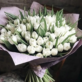 Букет из 101 белого тюльпана №2