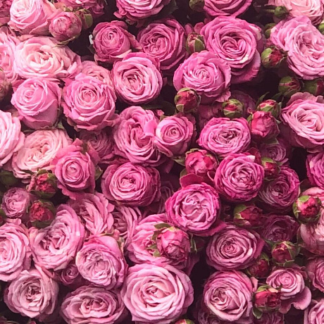 Букет цветов Pink hurricane - Фото 4