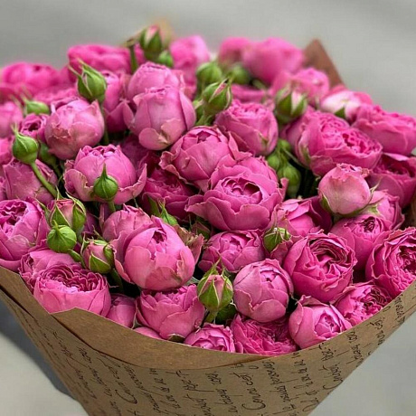 Кустовая роза Мисти Баблс - Фото 4