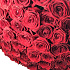 51 красная роза (Голландия 70см) - Фото 5