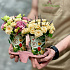 Композиция в кофейных стаканчиках с розами и лавандой - Фото 3