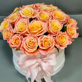 Букет из 25 роз в коробке №169