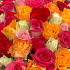 Яркий микс из 101 розы 40см - Фото 2