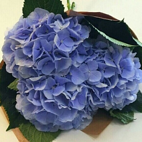 Букет цветов "Дыхание" №161