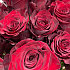 Роза из Эквадора - Фото 2