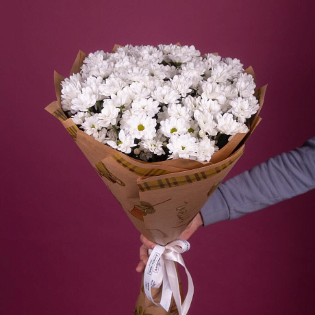 Букет из 15 белых хризантем - Фото 2