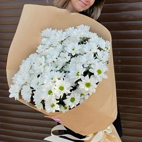 Букет кустовых хризантем №164