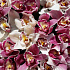 101 Орхидея в корзине - Фото 3