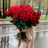 Роза красная бордовая - Фото 1