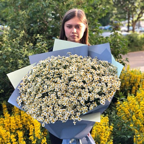Букет ромашек "Девичья ромашка"