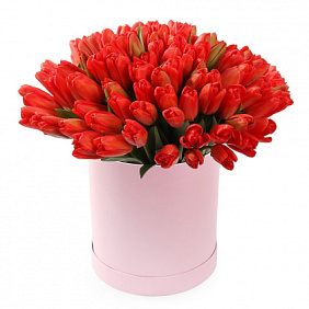75 красных тюльпанов в большой шляпной коробке