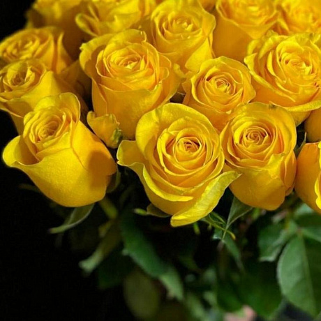 Розы желтые - Фото 4