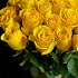 Розы желтые - Фото 4