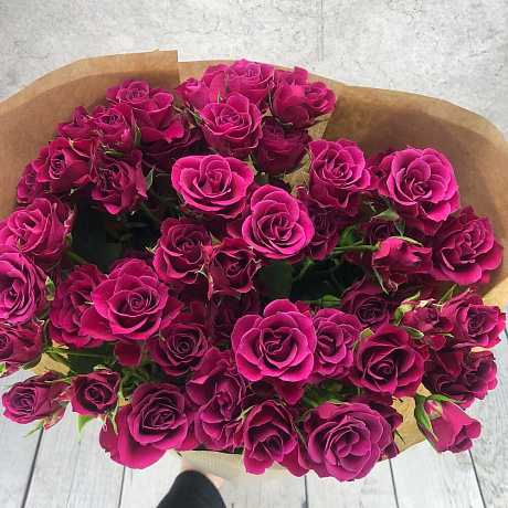 Роза кустовая Маджента 9шт - Фото 3