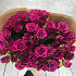 Роза кустовая Маджента 9шт - Фото 3