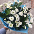 Букет цветов Небесный - Фото 3