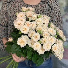 Кустовые розы №172