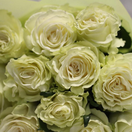 15 белых роз Эквадор - Фото 4