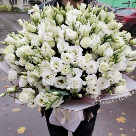 Букет из 41 белой эустомы - Фото 4