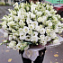 Букет из 41 белой эустомы - Фото 4