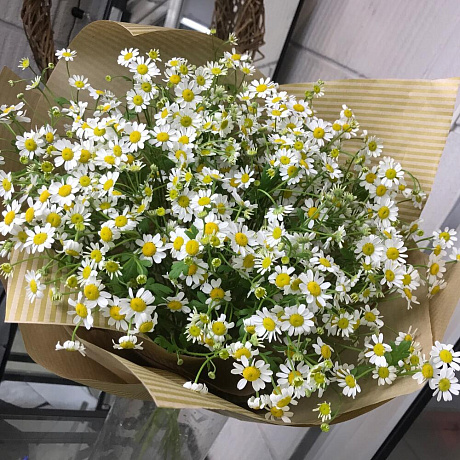 Букет Ромашки №212 - Фото 2