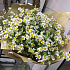 Букет Ромашки №212 - Фото 2